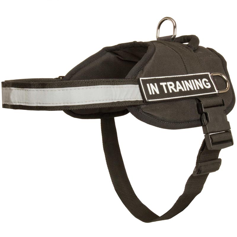 Nylon Belgian Malinois Harness with Reflective Strap for Training, Walking, Police Service, SAR and More