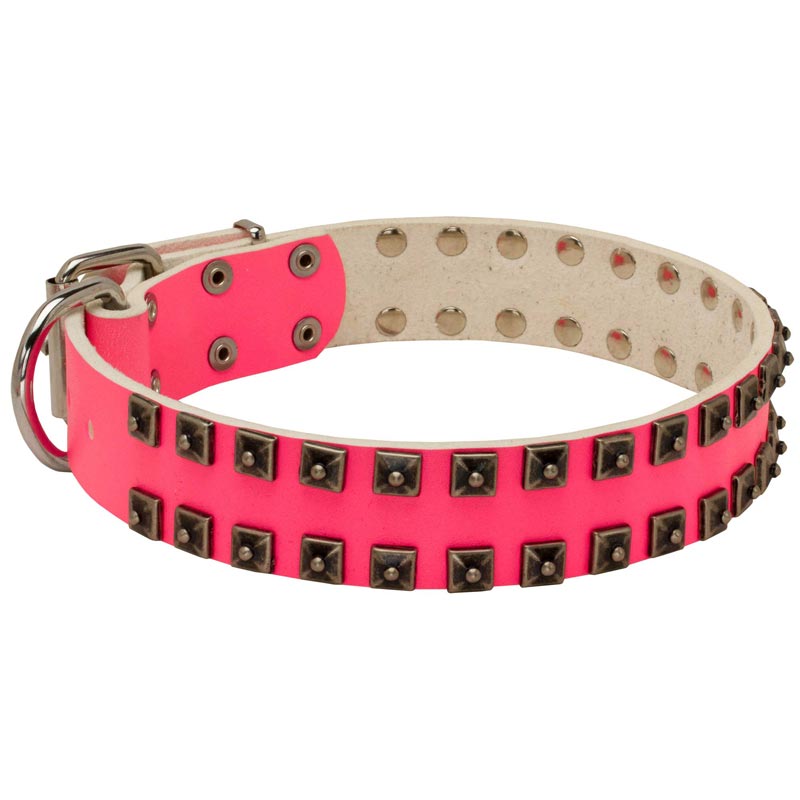 Fashionable Pink Leather Belgian Malinois Collar with Studs for Walking She-Dogs