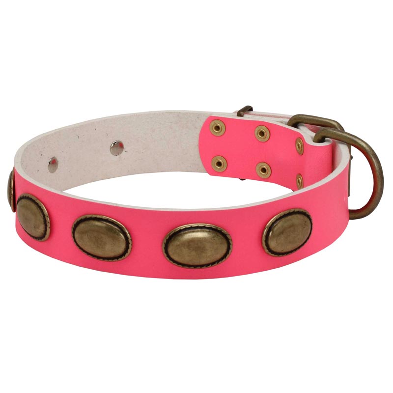 Pink Leather Belgian Malinois Collar with Vintage Oval Plates