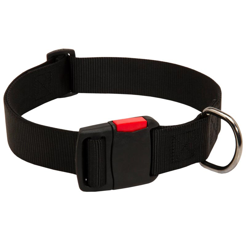 Any-Weather Nylon Belgian Malinois Collar With Quick Release Buckle for Training and Walking
