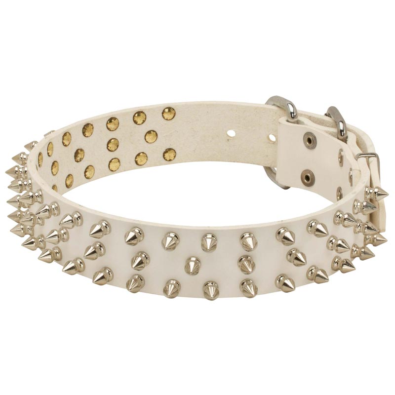 Designer Spiked Leather Belgian Malinois Collar for Fashionable Walking
