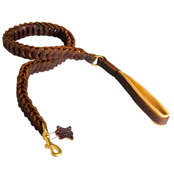 Braided Leather Belgian Malinois Leash with Padding on Handle