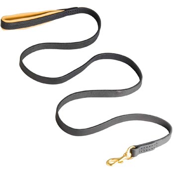 Padded Leather Belgian Malinois Leash for Everyday Walking