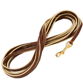 Brown Leather Dog Leash with Strong Brass Snap Hook