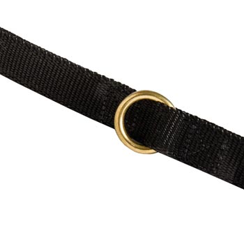 Nylon Belgian Malinois Leash Solid Brass Ring