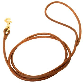 Leather Round Leash for Belgian Malinois Elegant Look