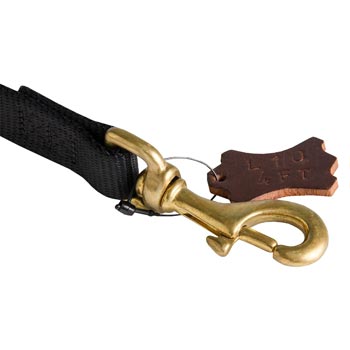 Nylon Belgian Malinois Leash with Dependably Stitched Brass Snap Hook