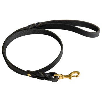 Best Training Belgian Malinois Leash with Braided Details on Opposite Sides
