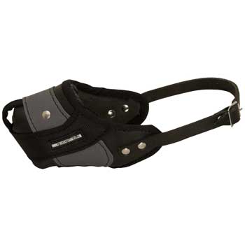 Belgian Malinois Muzzle Leather and Nylon for Walking and Training