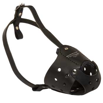 Walking Leather Muzzle for Belgian Malinois