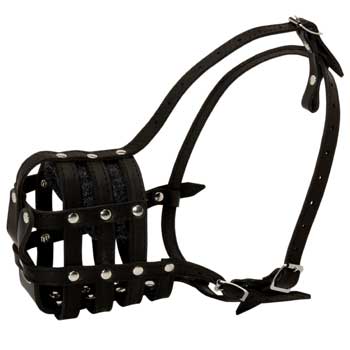 Belgian Malinois Muzzle Leather Cage for Daily Walking
