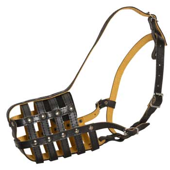 Adjustable Muzzle for Belgian Malinois
