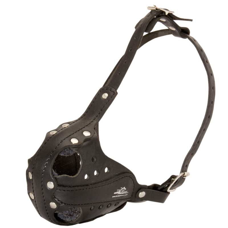 dog muzzle for belgian malinois