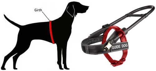 measure-harness