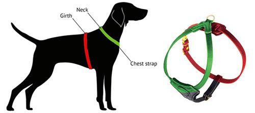measure-harness