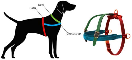 measure-harness